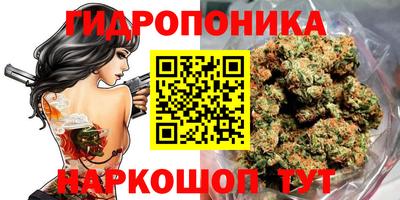 хмурый Партизанск