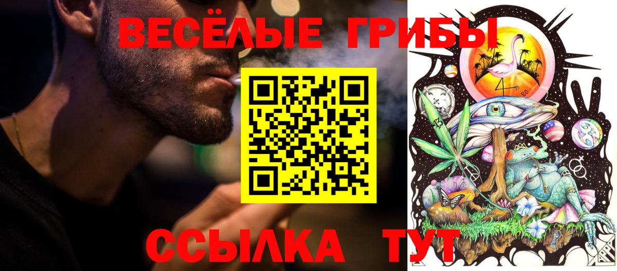 Псилоцибиновые грибы ЛСД  Вход с VPN  Псилоцибиновые грибы Psilocybe  Скопин 