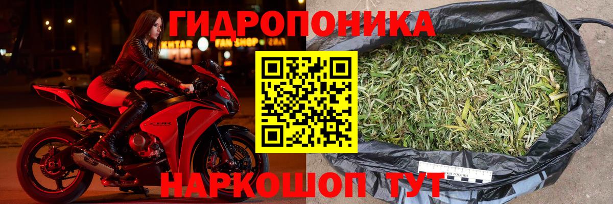 Марихуана план  Вход с VPN  Конопля индика  МАРИХУАНА LSD WEED  Шишки марихуана ГИДРОПОН  Скопин 